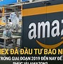 Cty Gilimex Kiện Amazon Đòi 280 Triệu Usd Không