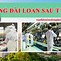 Cuộc Sống Người Việt Tại Đài Loan Như Thế Nào