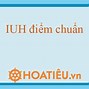 Điểm Học Bạ Iuh 2024