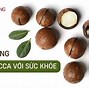 Hạt Macca Có Tác Dụng Gì Với Bà Bầu