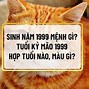 Người Sinh Năm 1999 Là Tuổi Con Gì